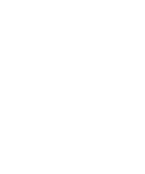 2020 Travelers' Choice